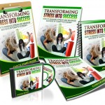 Transforming Stress Into Success stress-guide-3-600